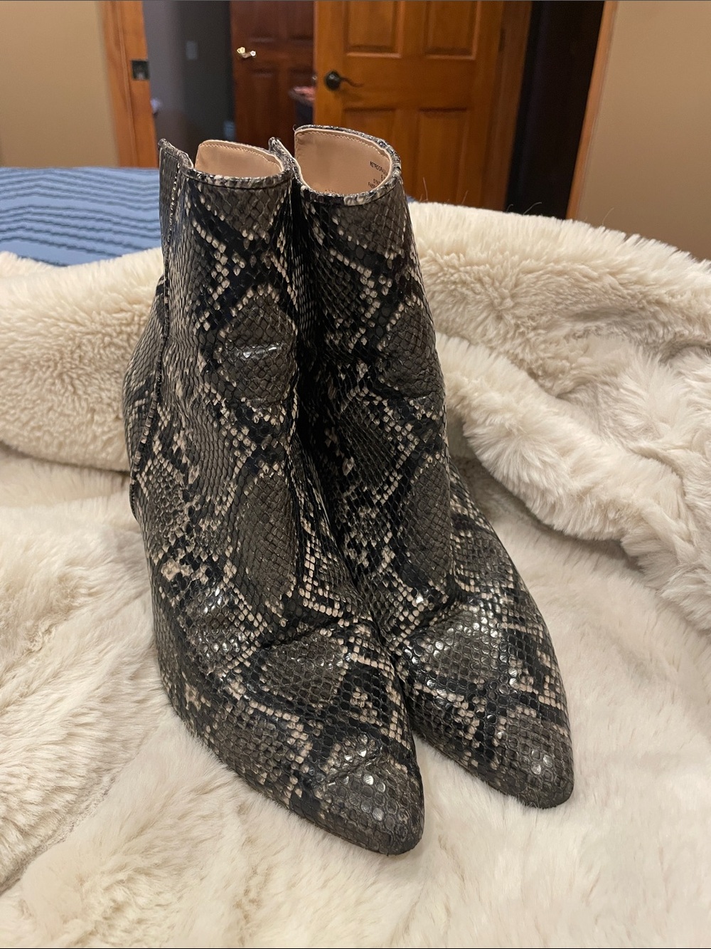 Steve Madden Snake-Print Pointed Ankle Boots in Black and Cream